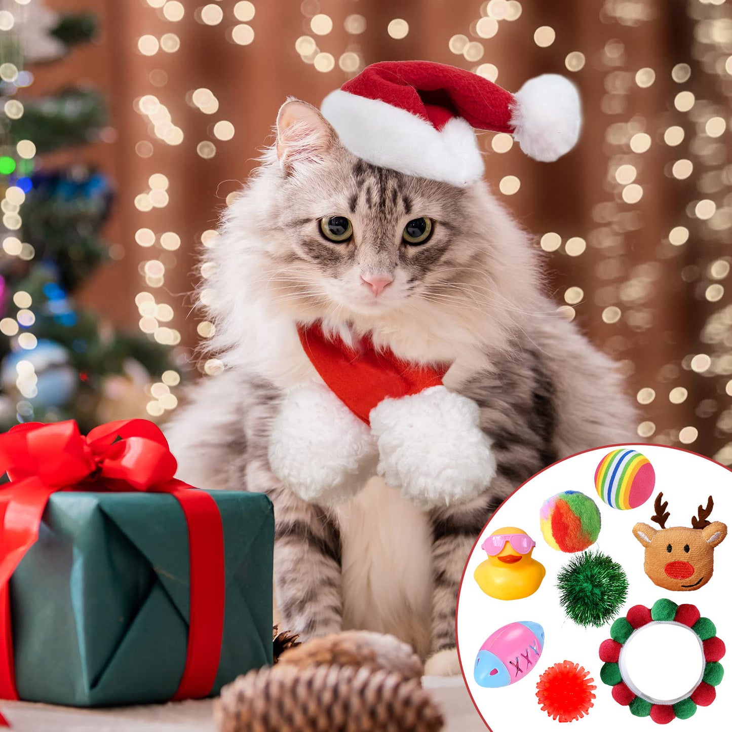 Cat Lover Christmas Calendar