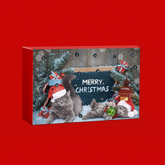 Cat Lover Christmas Calendar